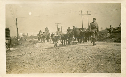 Photo d'un convoi de ravitaillement de poilus avec mulets 1914-1918 16x10 cm