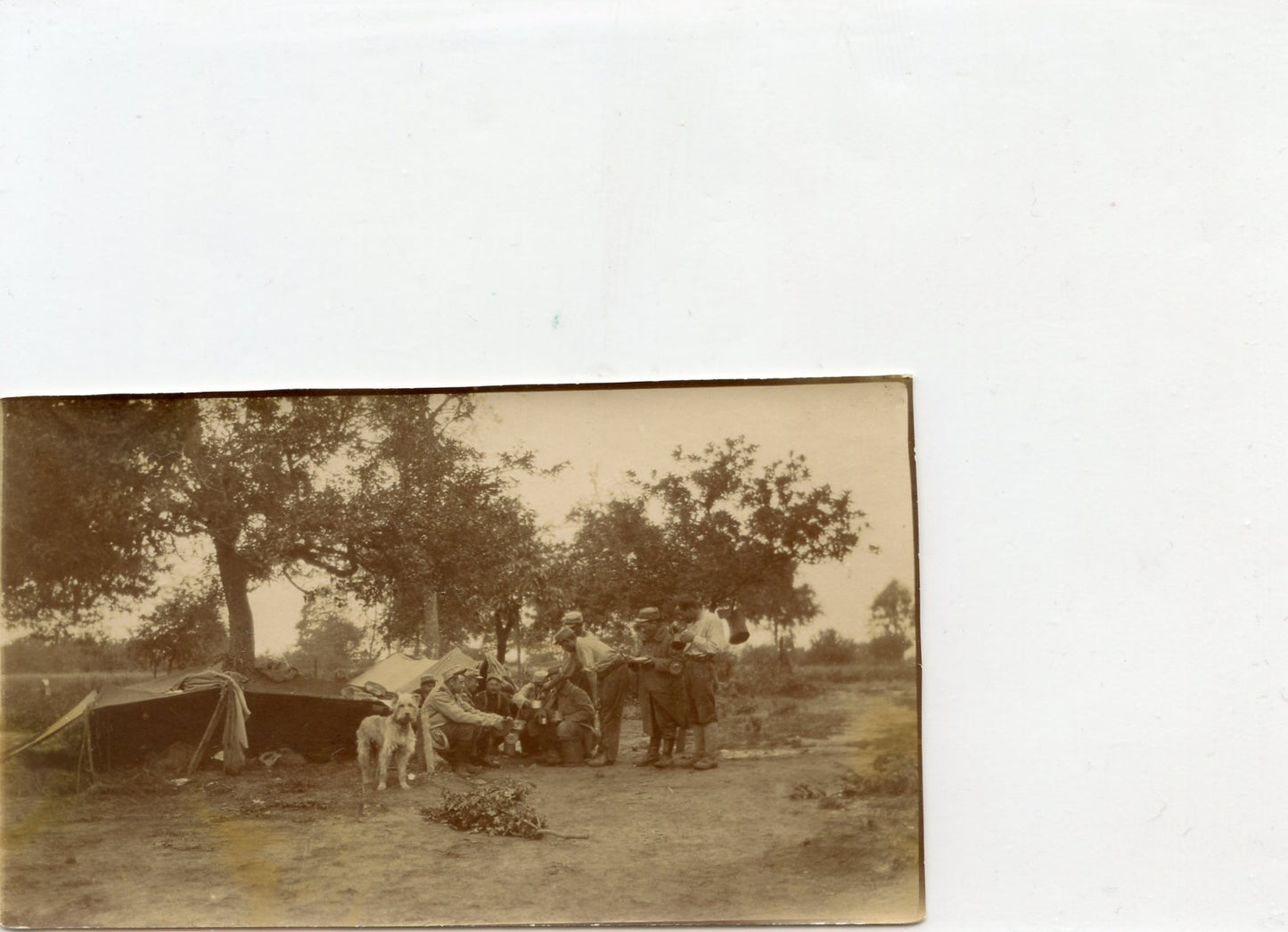 photo de poilus au repas avec un chien vers 1915 10,5 x 6,5 cm