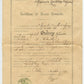 certificat de bonne conduite d'un adjudant du 1° rgt de tirailleurs algériens 1909