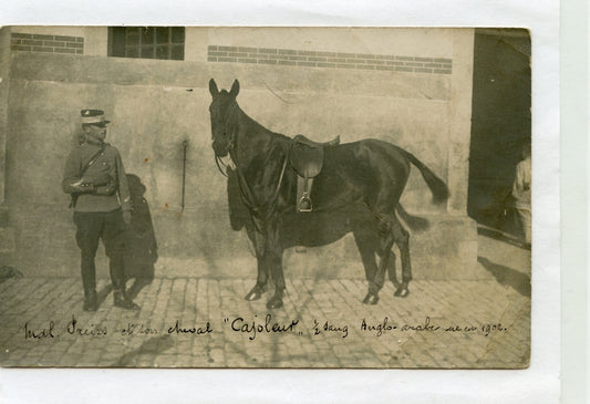 carte photo d'un cavalier du 11° Chasseurs à cheval avec son cheval avant 1914