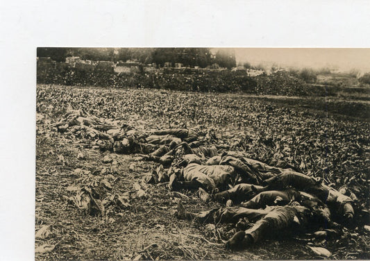 photo soldats allemands tués dans un champ, bataille de la Marne ? 14x9cm