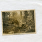 photo attelages d'artillerie Bois Belleau offensive 18 juillet 1918 232°RAC  8,5x6 cm