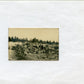 photo tas des douilles d'obus tirés par le 44°RAC à Verdun , juin 1916, 6,5x4 cm