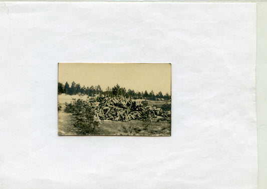 photo tas des douilles d'obus tirés par le 44°RAC à Verdun , juin 1916, 6,5x4 cm