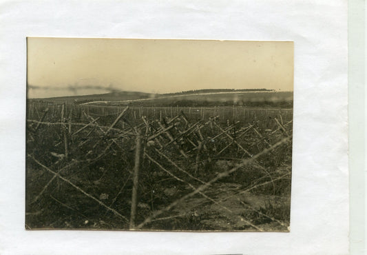 photo fils de fer devant fortin Boche 44°RAC,juin 1915, Champagne, 11x8 cm