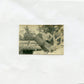 photo crapouillot de 58 44°RAC, octobre 1915, 5,5x3,5 cm