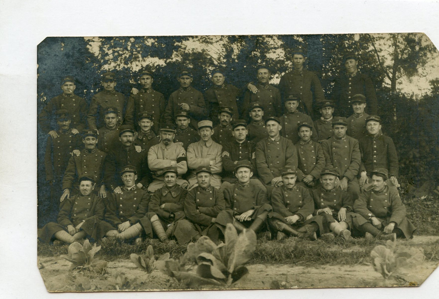 carte photo groupe de poilus du 78° régiment d'infanterie Limoges 1914-1918