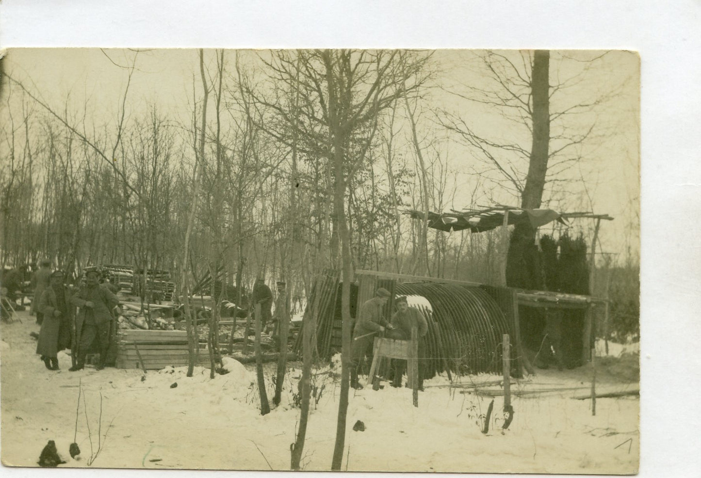 carte photo allemande parc de pionniers 1917