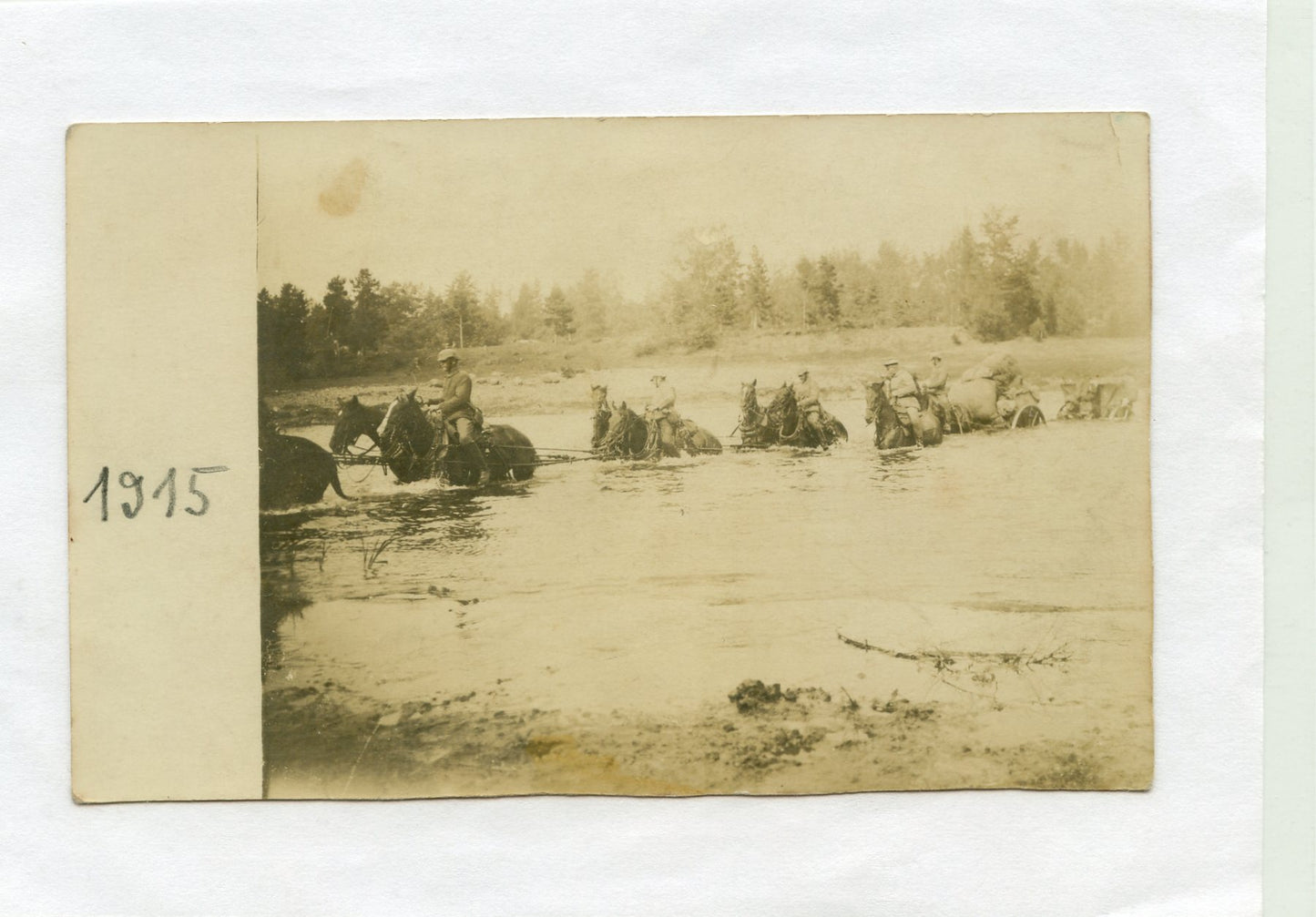 carte photo recoupée attelage d'artillerie allemande front est 1914-1918