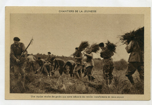 carte postale chantiers de jeunesse pré imprimée récolte de genets
