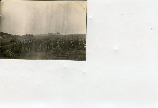 photo Champagne, les troupes d'Afrique cavalerie  8x5,5 cm 1915