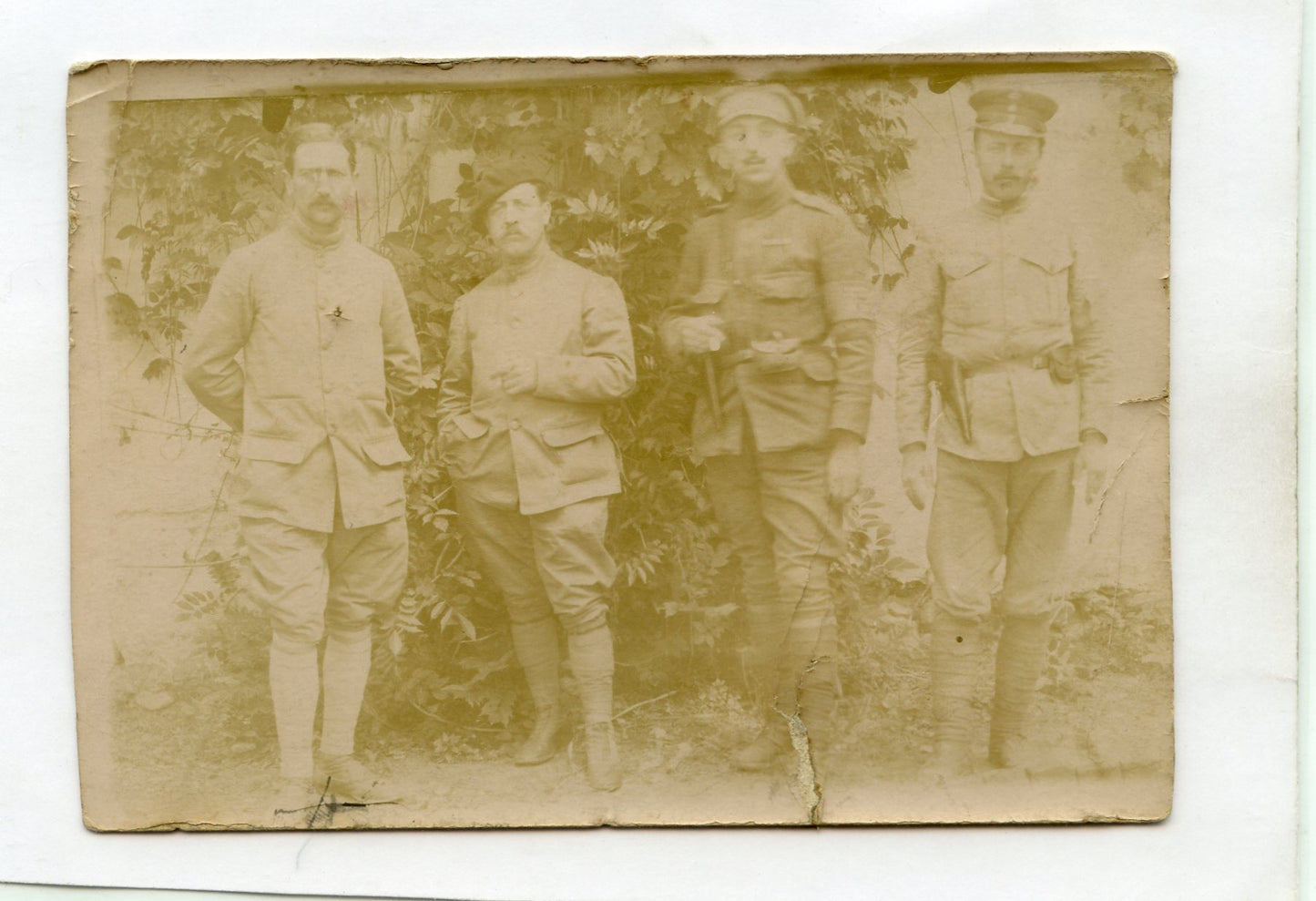 carte photo de militaires français et étrangers armée d'orient 1914-18