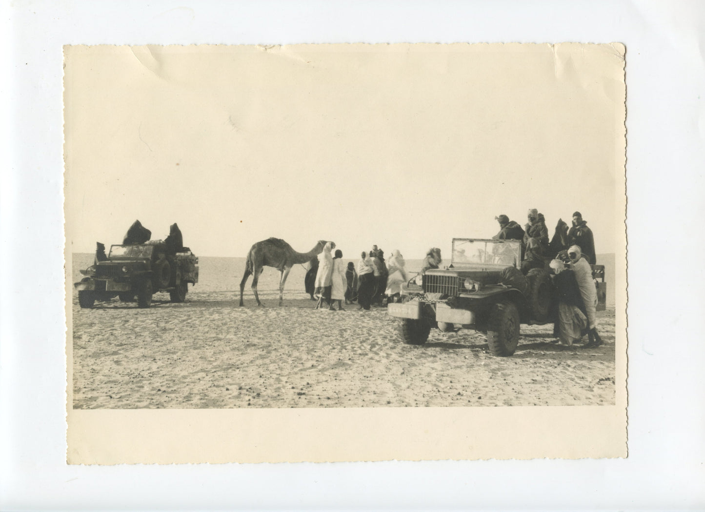 grande photo Sahara Tombouctou rencontre caravane et convoi militaire 1948 23x17 cm