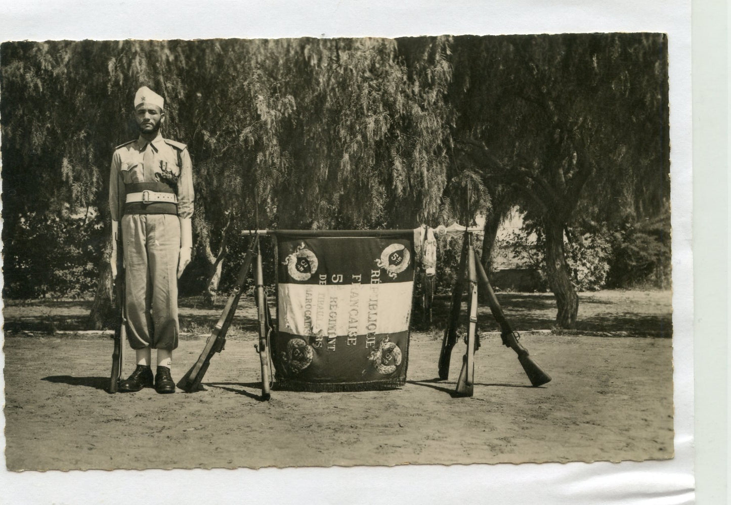 carte postale drapeau du 5° régiment de tirailleurs Marocains 1