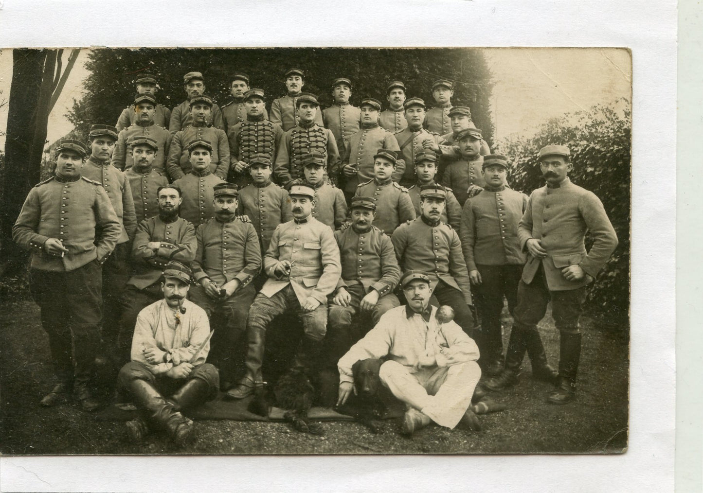 carte photo d'un groupe de poilus du 8° chasseurs à cheval 1914-1918