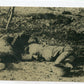 photo de deux soldats allemands tués 1914-1918, photo d'un officier de la coloniale