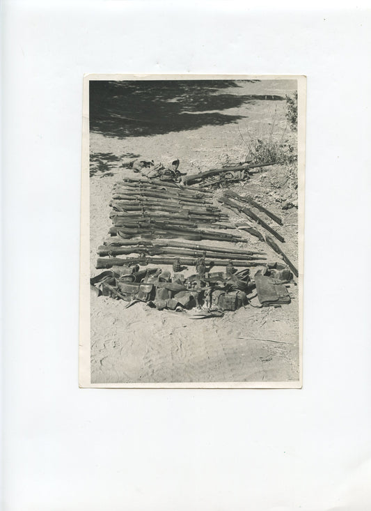grande photo d'un bilan en Algérie certainement parachutistes 18x13 cm