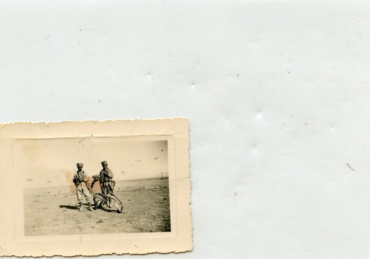 photo de tirailleurs au Maroc ou en Algérie devant le cadavre d'un chameau 8x5,5 cm