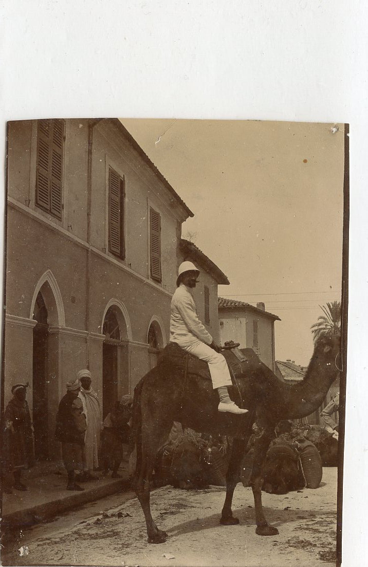 avant 1914 : photo d'un militaire français sur chameau en Algérie 11 x 8,5 cm