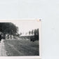 1945 : photo campagne d'Allemagne soldats Français convoi SRO véhicules US 9 x 6,5 cm